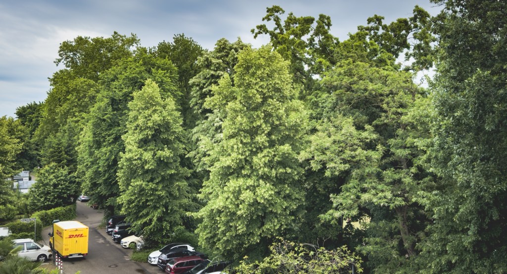 Press the yellow&nbsp;dot